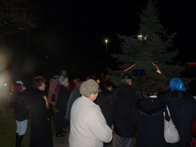 P1290133.JPG - small