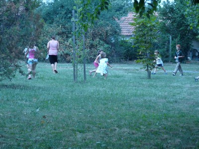 P1260474.JPG - small