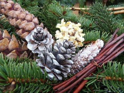 P1360236.JPG - small