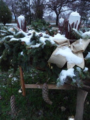 P1360315.JPG - small