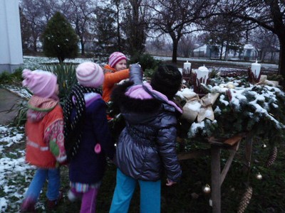 P1360323.JPG - small