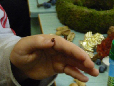 P1360363.JPG - small