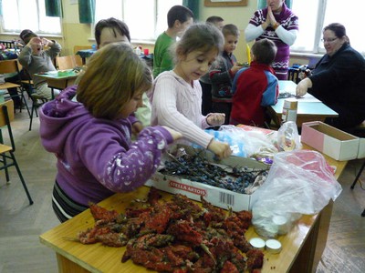 P1360370.JPG - small