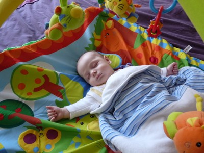 P1380341.JPG - small