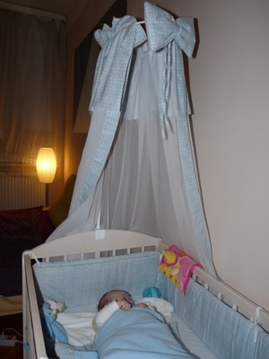 P1380354.JPG - small