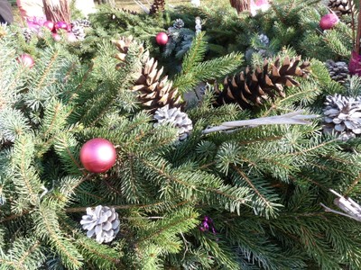 P1490013.JPG - small