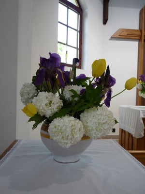 P1380682.JPG - small