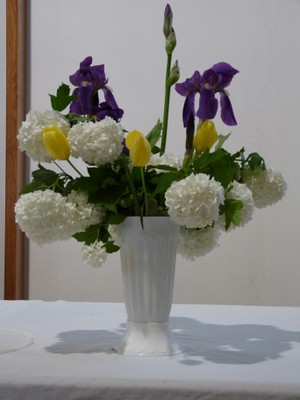 P1380683.JPG - small