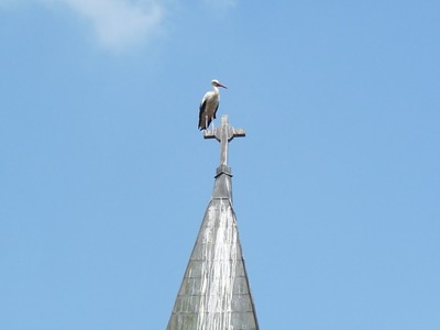 P1600703.JPG - small