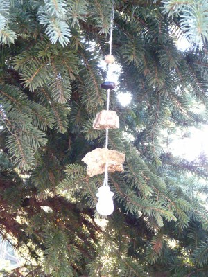 P1630748.JPG - small