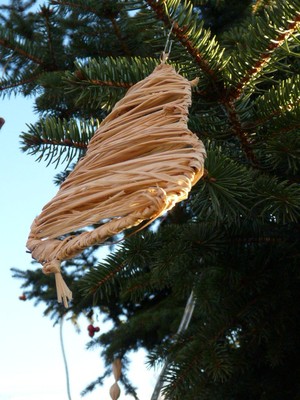 P1630753.JPG - small