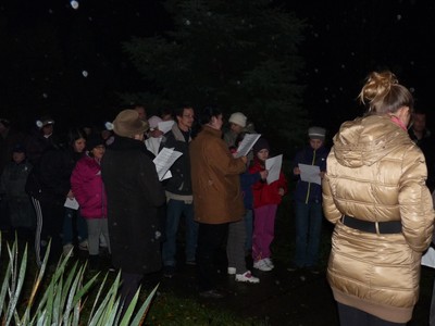 P1630183.JPG - small