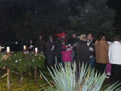 P1630185.JPG - small