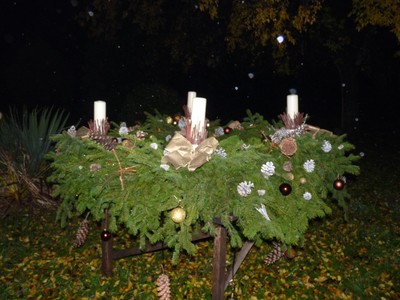 P1630164.JPG - small