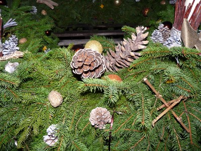 P1630171.JPG - small