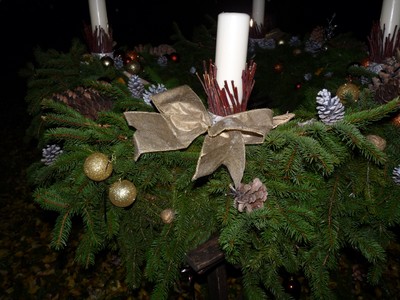 P1630172.JPG - small