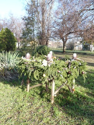 P1630651.JPG - small