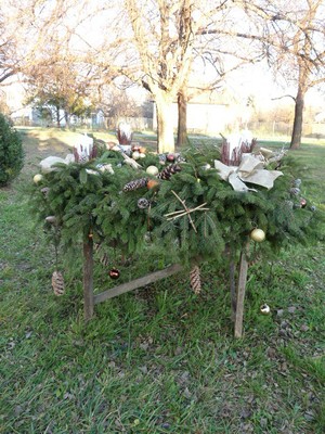 P1630733.JPG - small