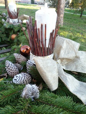 P1630737.JPG - small