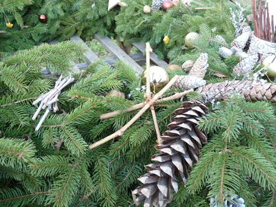 P1630738.JPG - small