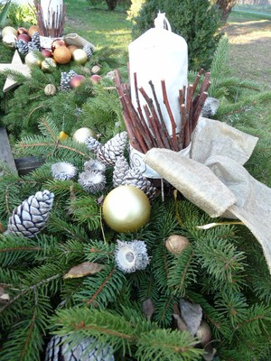 P1630739.JPG - small