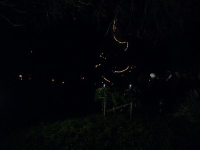 P1630605.JPG - small