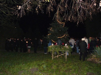 P1630606.JPG - small