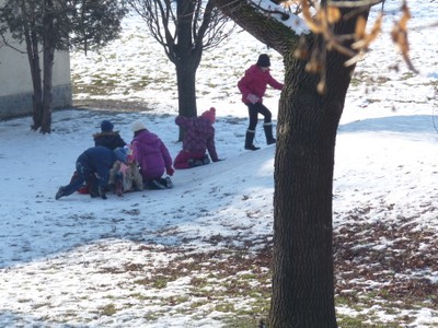 P1500577.JPG - small