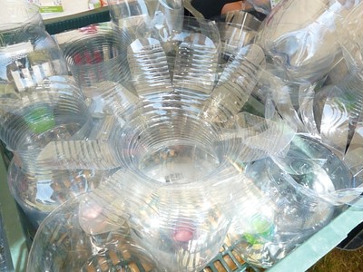 P1560637.JPG - small