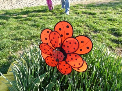 P1510928.JPG - small