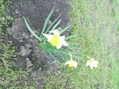 P1510969.JPG - small