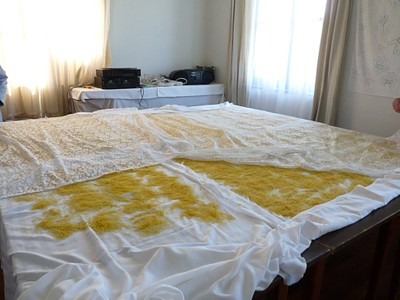 P1520005.JPG - small