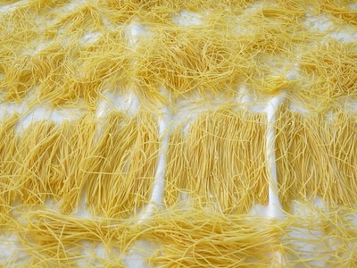 P1520015.JPG - small