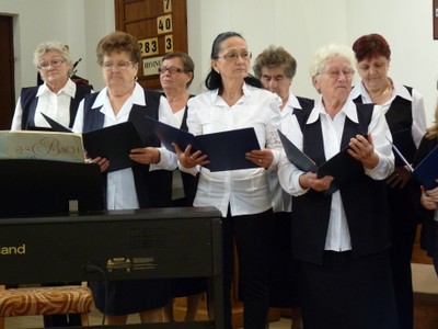 P1620691.JPG - small