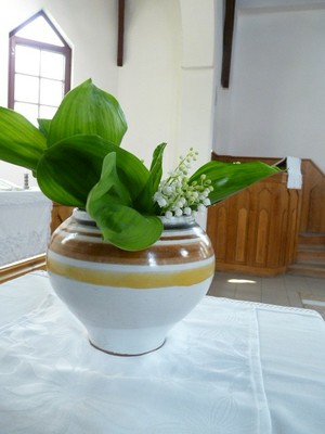 P1650747.JPG - small