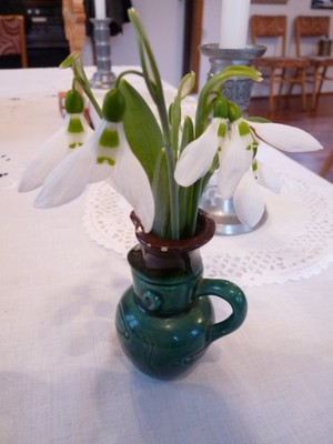 P1650131.JPG - small