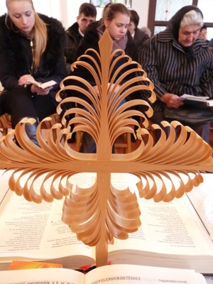 P1650245.JPG - small