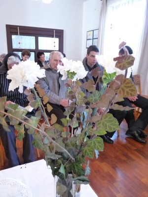 P1650247.JPG - small