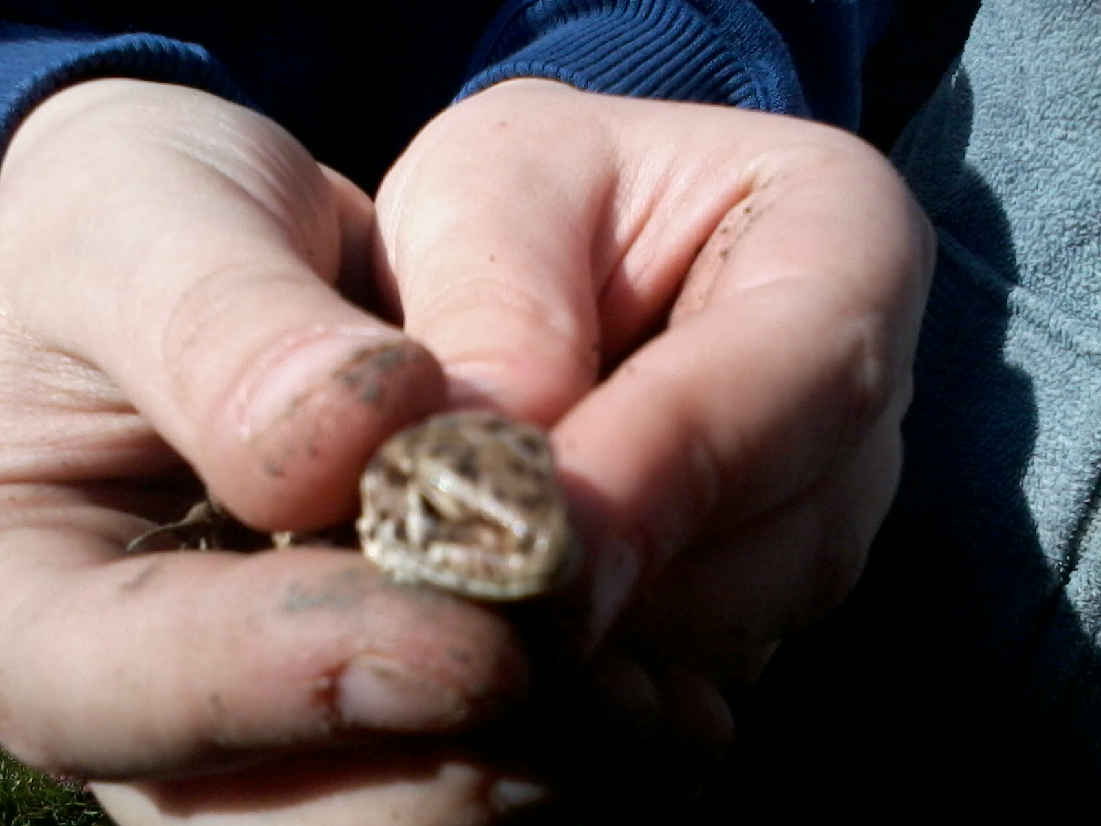 2015-03-17 11.28.06.jpg