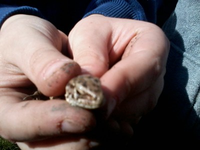 2015-03-17 11.28.06.jpg - small