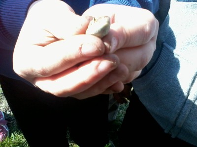 2015-03-17 11.28.13.jpg - small