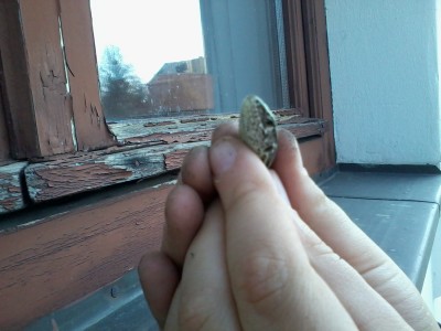 2015-03-17 11.28.36.jpg - small