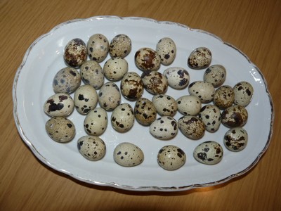 P1670254.JPG - small