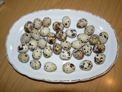 P1670255.JPG - small