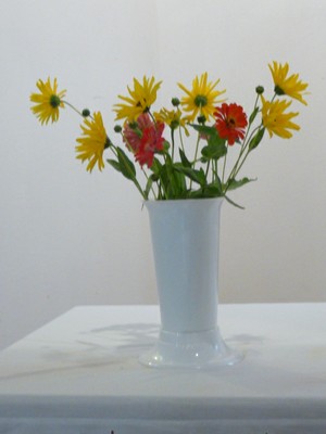 P1670119.JPG - small