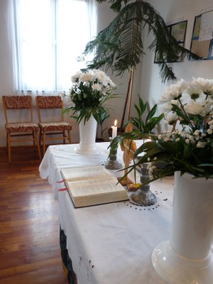 P1680883.JPG - small