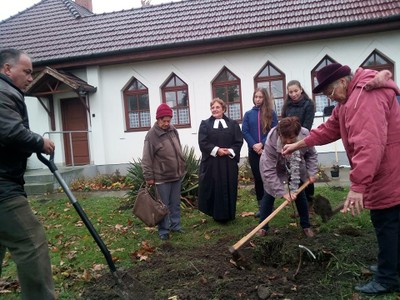 23023639_1504034383023777_1732610543_n.jpg - small