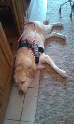 20180812_105452.jpg - small