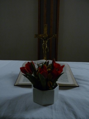 P1960584.JPG - small