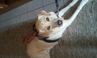 20180916_104930.jpg - small